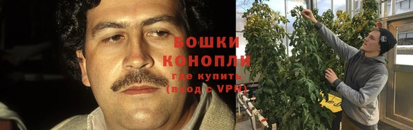 наркотики Горняк