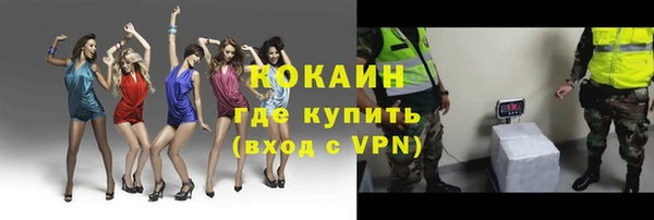 мдпв Горно-Алтайск