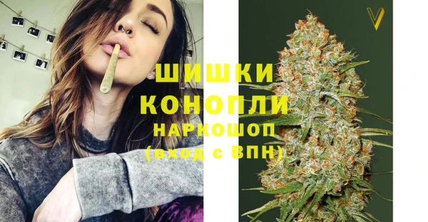 мдпв Горно-Алтайск