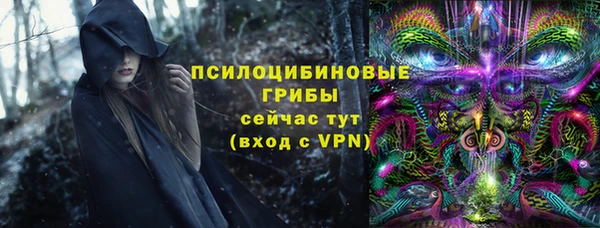 мдпв Горно-Алтайск