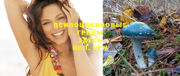 мдпв Горно-Алтайск